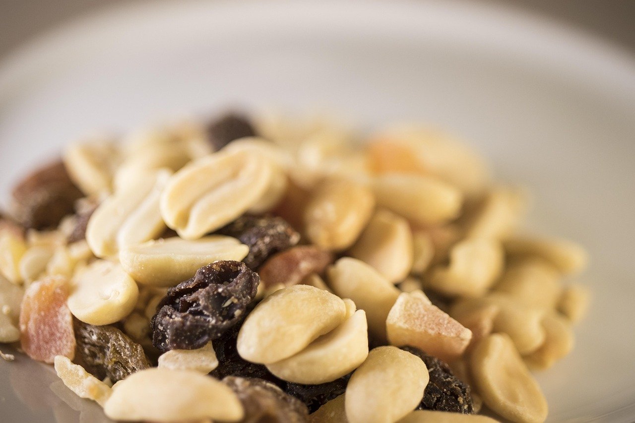 Vegan Microbiome: Cultivating Gut Health Beyond Meat