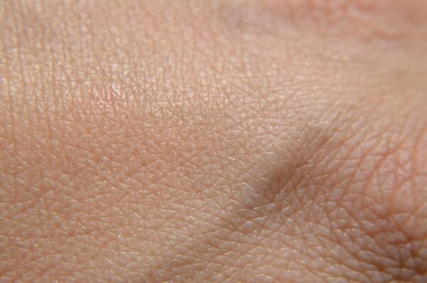 Beyond The Label: Unpacking True Organic Supplement Efficacy