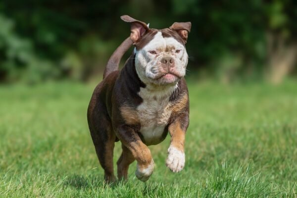 Unlocking Her Potential: A Tailored Fitness Blueprint