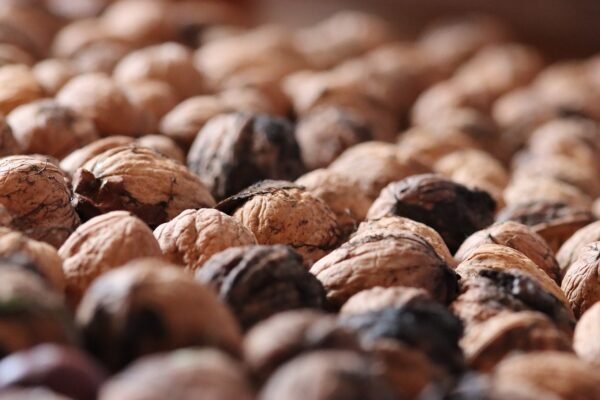 Beyond Calories: Eat For Cellular Vitality